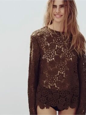 Zara Brown Crochet Lace Long-Sleeve Top
